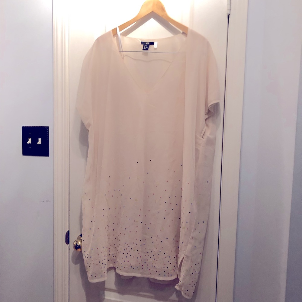 Dreamy Sheer Dress